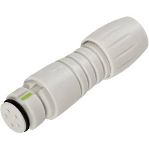 binder 99 9226 400 08 Subminiatur-Rundsteckverbinder Kupplung, gerade Gesamtpolzahl: 8 1 St.