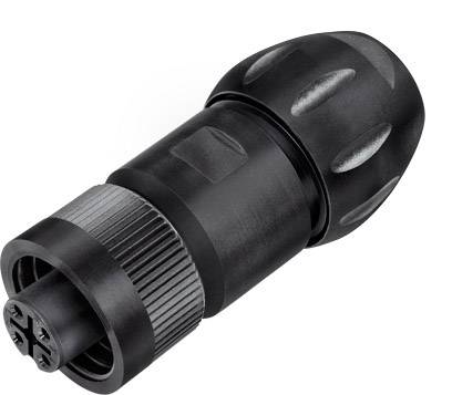 binder 99 4218 300 07 Subminiatur-Rundsteckverbinder Kupplung, gerade Gesamtpolzahl: 6 + PE 1 St.