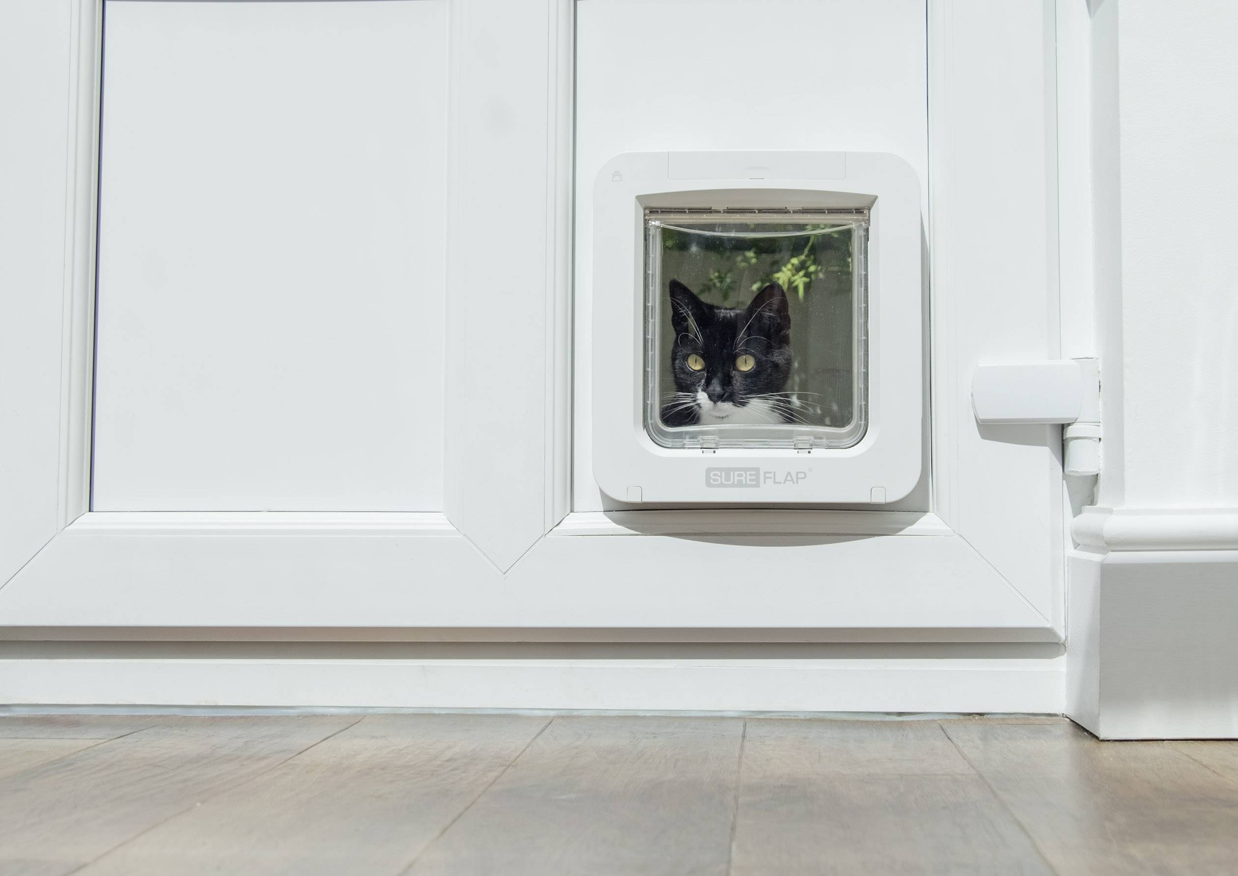 Eine schwarz-weiße Katze schaut aus einer Katzenklappe in einer weißen Tür. Sie beobachtet die Umgebung, während sie drinnen bleibt.