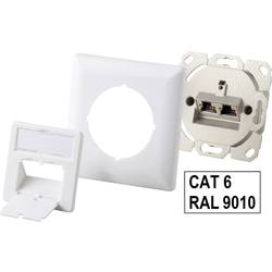 Síťová zásuvka montáž na zeď Renkforce RF-3338864, CAT 6, 2 porty, čistě bílá