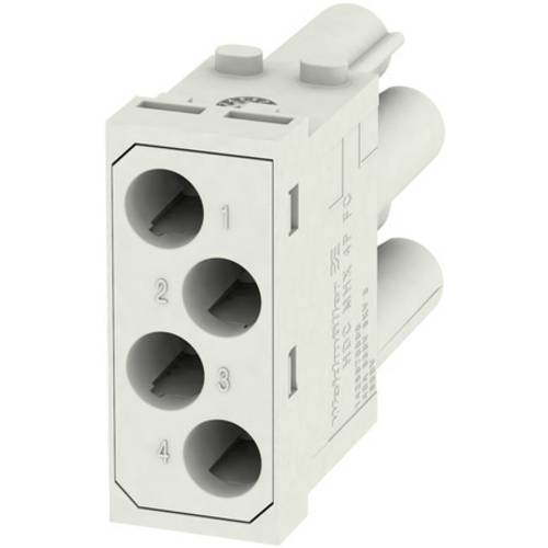 RockStar® ModuPlug HDC MBUS 2 MC Weidmüller Inhalt: 1 St.