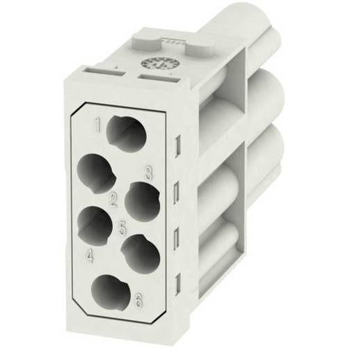 RockStar® ModuPlug HDC MHE 6P FC Weidmüller Inhalt: 1 St.