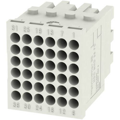 Thumbnail - RockStar® ModuPlug HDC MHD 36 FC Weidmüller Inhalt: 1 St. Modul