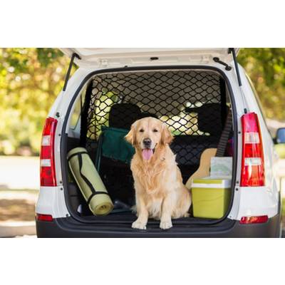 Kofferraumnetz für Hunde - für alle Autotypen