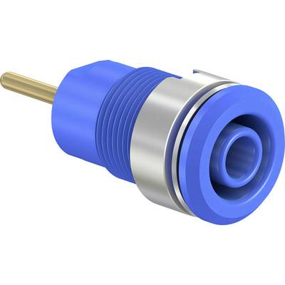 Blauer Adapterstecker mit Metallring und goldfarbenem Kontaktstift. Geeignet für elektrische Verbindungen in technischen Geräten.
