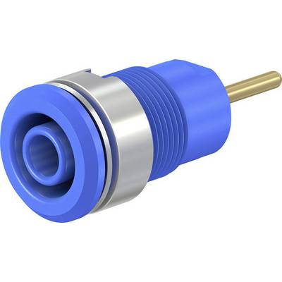 Blauer koaxialer Stecker mit Metallring und goldener Kontaktspitze, geeignet für Kabelverbindungen in elektronischen Geräten.