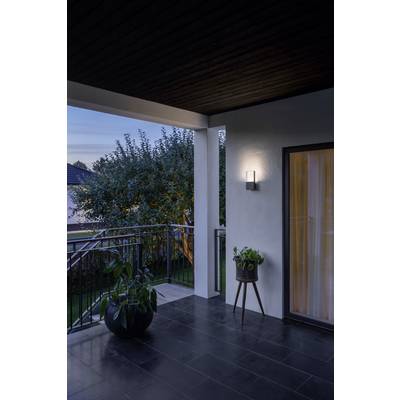 Ein Balkon mit schwarzen Fliesen, zwei Pflanzen auf Ständern, einem modernen Außenlicht an der Wand. Im Hintergrund sind Bäume sichtbar.
