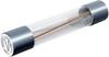 Püschel Feinsicherungen FSUT0,8B FSUT0,8B Feinsicherung (Ø x L) 6.3 mm x 32 mm 0.8 A 250 V Träge -T- Inhalt 10 St.