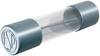 Püschel Feinsicherungen FST1,0B FST1,0B Feinsicherung (Ø x L) 5 mm x 20 mm 1 A 250 V Träge -T- Inhalt 10 St.