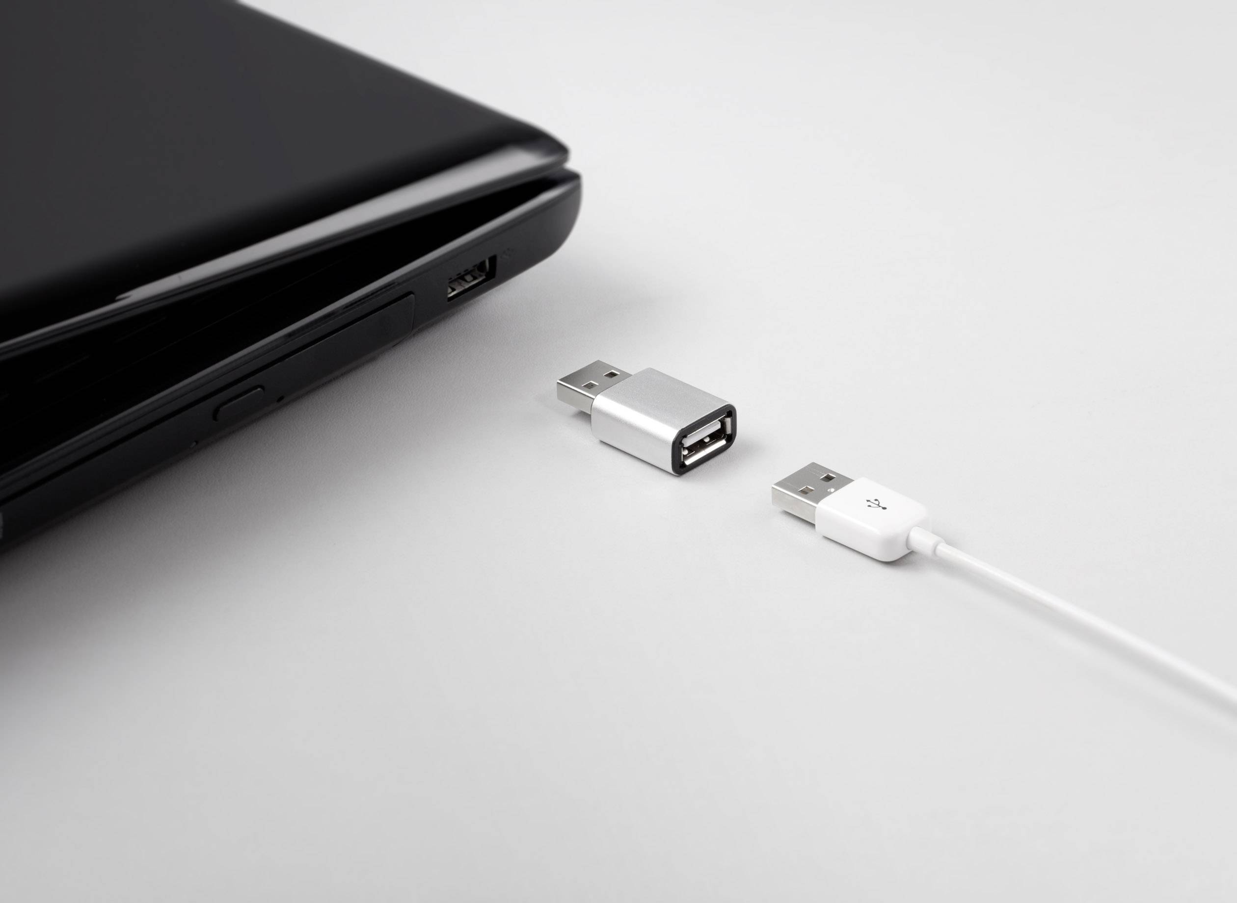 Renkforce USB 2.0 Adapter [1x USB 2.0 Stecker A - 1x USB 2.0 Buchse A] beidseitig verwendbarer Stecker, Aluminium-Stecke-2