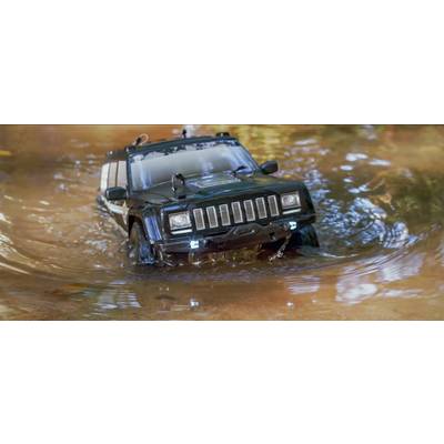 Reely Free Men RC Modellauto 100% RtR-13