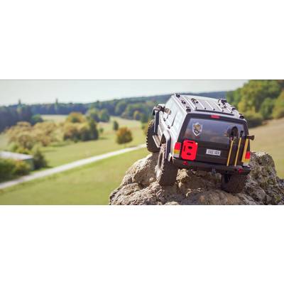 Reely Free Men RC Modellauto 100% RtR-15