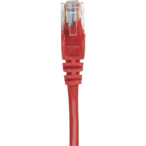 Intellinet 739801 RJ45 Netzwerkkabel, Patchkabel CAT 6 S/FTP 0.25 m Rot Folienschirm, Geflechtschirm, Halogenfrei 1 St.