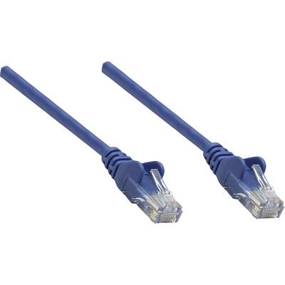 Zwei blaue Ethernet-Kabel mit transparenten Steckern, die zur Netzwerkverbindung verwendet werden.