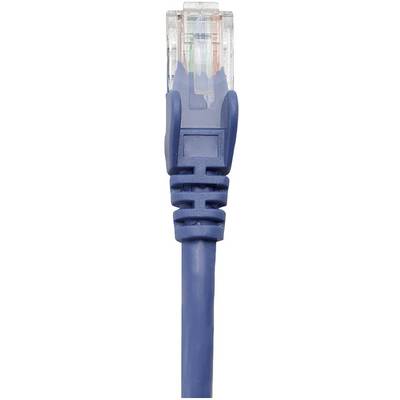 Ein blaues Ethernet-Kabel mit einem transparenten RJ45-Stecker zeigt die farbigen Leitungen im Inneren.