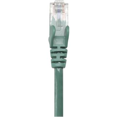 Ein grünes Ethernet-Netzwerkkabel mit einem durchsichtigen RJ45-Stecker, der verwendet wird, um Geräte mit einem Netzwerk zu verbinden.
