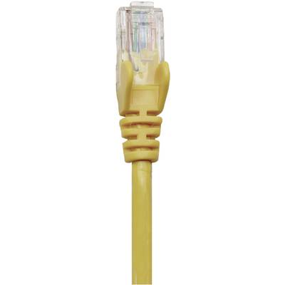 Ein gelbes Ethernet-Kabel mit einem transparenten RJ45-Stecker. Der Stecker zeigt farbige Drähte für Netzwerkverbindungen.