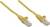 Zwei gelbe Ethernet-Kabel mit transparenten Steckern, nebeneinander liegend.