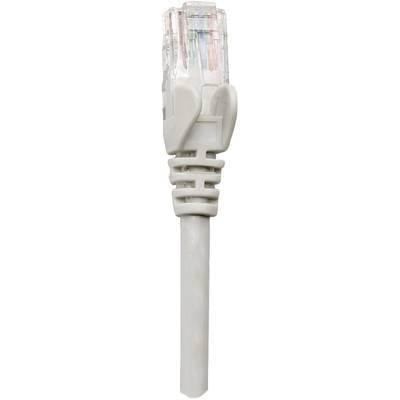 Ein Ethernet-Kabel mit transparentem Stecker, durch den bunte Drähte sichtbar sind. Verwaltung von Netzwerkverbindungen.