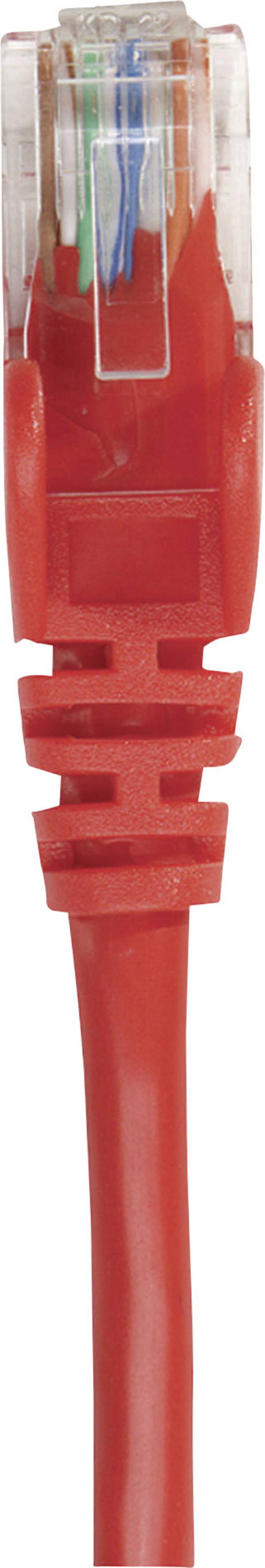 Intellinet 319065 RJ45 Patchkabel CAT 6a S/FTP 1.00 m Rot Einzelschirm, Gesamtschirm, Halogenfrei 1 St.