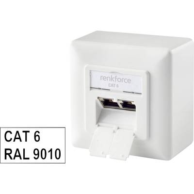Renkforce Netzwerkdose Aufputz CAT 6 2 Port Reinweiß