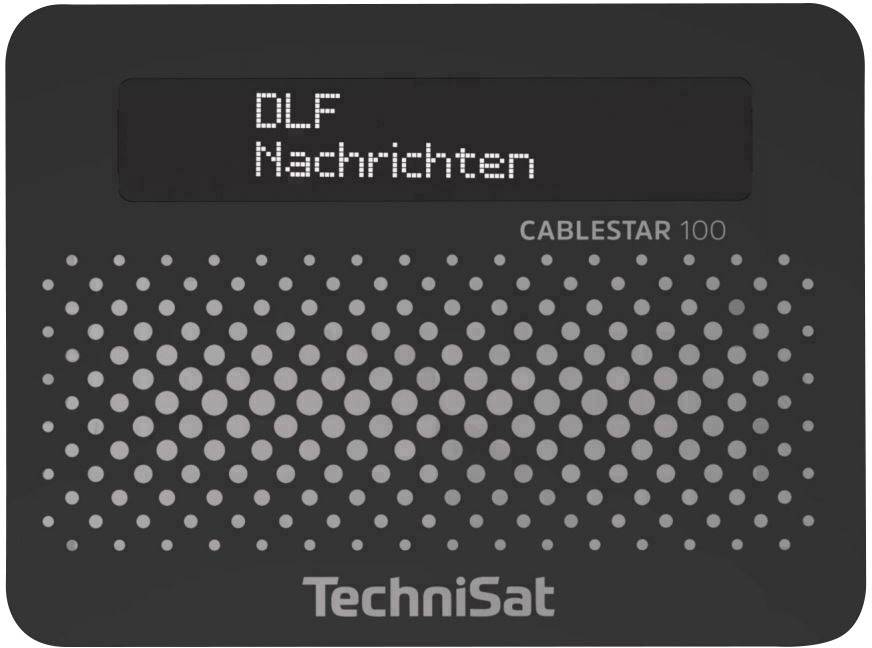 TechniSat Radiodisplay zeigt 'DLF Nachrichten'.