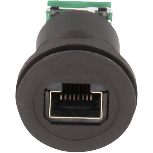 Schlegel RJ45-Einbaubuchse RRJ_RJ45_STB_SW Buchse, Einbau Polzahl Sensoren 8P8C 1 St.