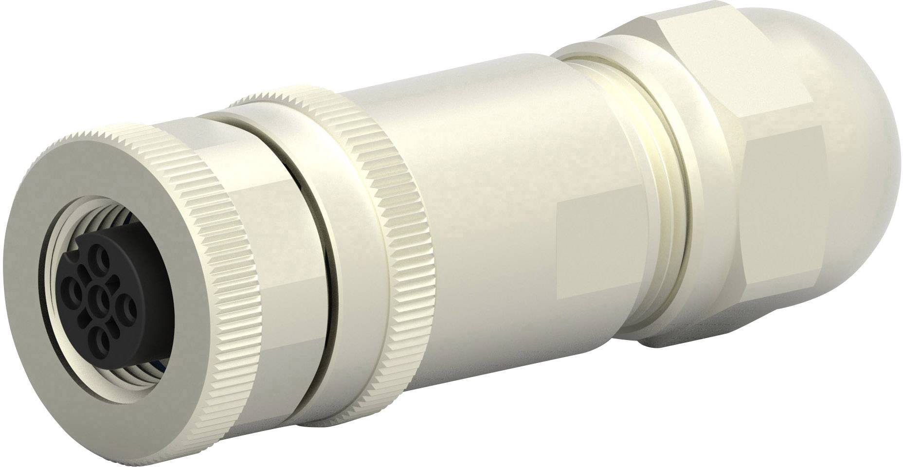 TE Connectivity T4110011031-000 Sensor-/Aktor-Steckverbinder, unkonfektioniert M12 Buchse, gerade Polzahl Sensoren: 3 1 ...