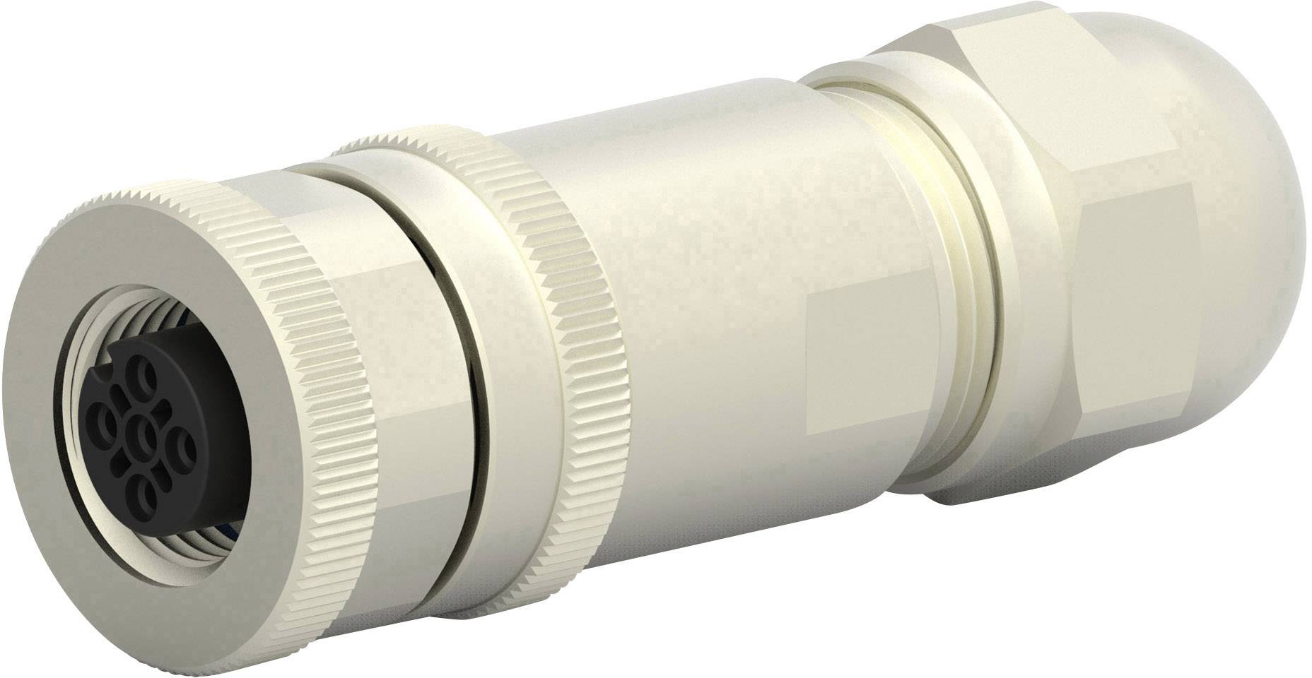 TE Connectivity T4110011051-000 Sensor-/Aktor-Steckverbinder, unkonfektioniert M12 Buchse, gerade Polzahl Sensoren: 5 1 ...