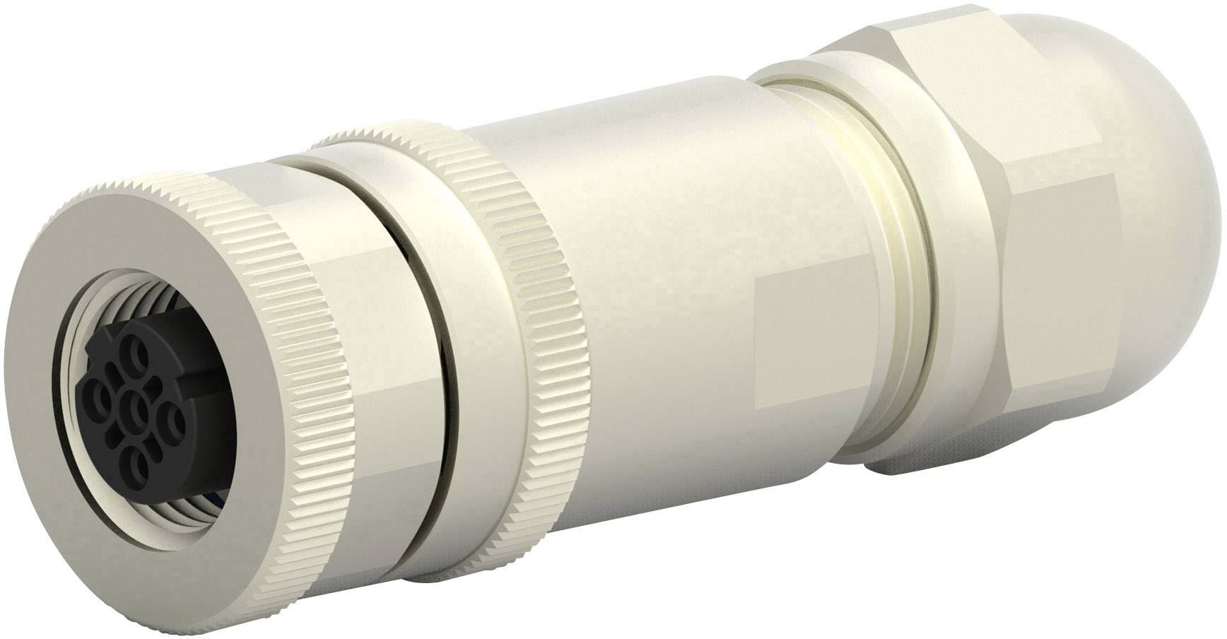 TE Connectivity T4110512051-000 Sensor-/Aktor-Steckverbinder, unkonfektioniert M12 Buchse, gerade Polzahl Sensoren: 5 1 St.