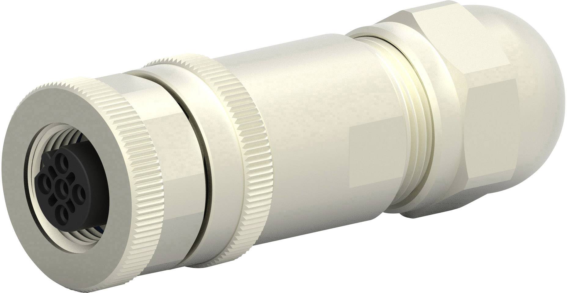 TE Connectivity T4110411041-000 Sensor-/Aktor-Steckverbinder, unkonfektioniert M12 Buchse, gerade Polzahl Sensoren: 4 1 ...