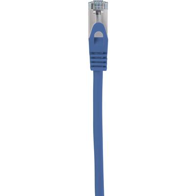 Ein blaues Ethernet-Kabel mit einem RJ45-Stecker zum Verbinden elektronischer Geräte mit einem Netzwerk.