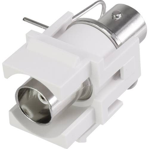Renkforce RF-KS-BNC BNC-Einbaumodul Keystone 1 St.