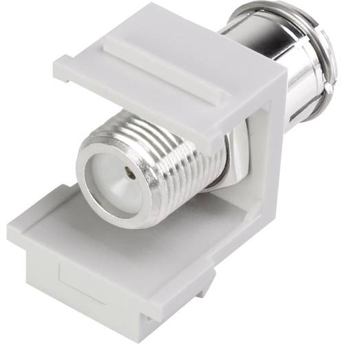 Renkforce RF-KS-FPAL Koax-Einbaumodul Keystone 1 St.