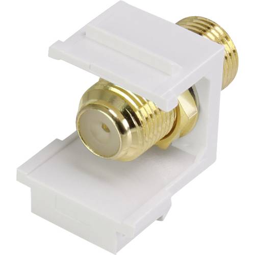 Renkforce RF-KS-FKP F-Einbaumodul Keystone 1 St.