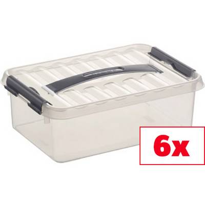 Transparente Aufbewahrungsbox mit schwarzem Griff und Verschluss, auf rotem Hintergrund '6x' angegeben.