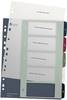 Leitz 1235 Style Register DIN A4 1-5 Polypropylen Mehrfarbig 5 Registerblätter extrabreit, PC-beschriftbar 1235-00-00