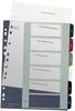 Leitz 1236 Style Register DIN A4 1-6 Polypropylen Mehrfarbig 6 Registerblätter extrabreit, PC-beschriftbar 1236-00-00