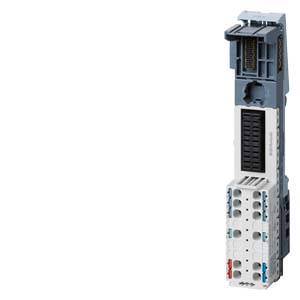 Ein Montageadapter für Schalttafeln mit einem Steckplatz für elektrische Bauteile, grau-weiß mit blauen und roten Anschlussmöglichkeiten.