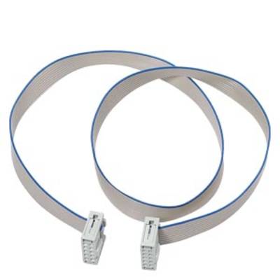 Ein graues Flachbandkabel mit zwei weißen Steckverbindern, gebogen, auf weißem Hintergrund.