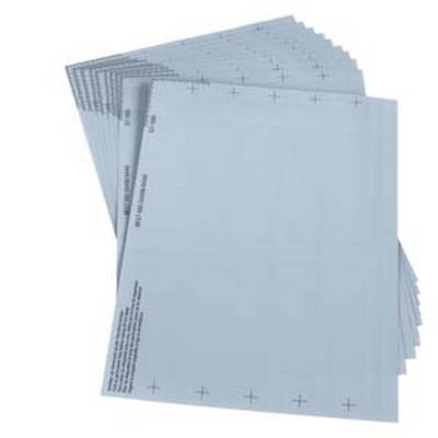 Mehrere Stapel glänzender, leerer Fotopapierblätter, gleichmäßig angeordnet, leicht gefächert dargestellt.