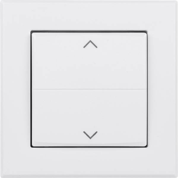 Homematic IP  Tasterwippe   HmIP-BRA