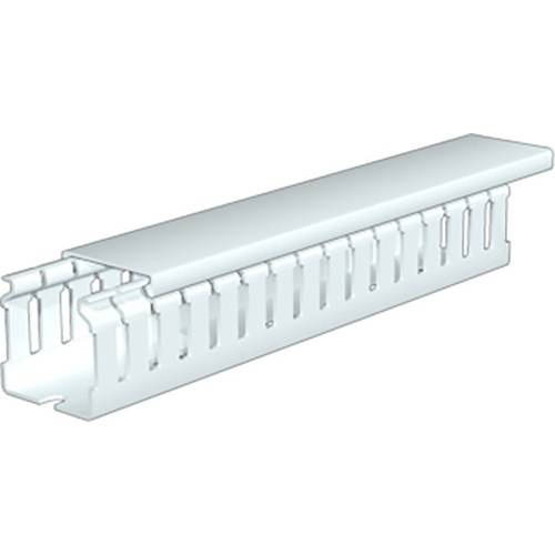 Weidmüller 2589730000 Verdrahtungskanal (L x B x H) 2 m x 37.5 mm x 50 mm 16 St. Lichtgrau