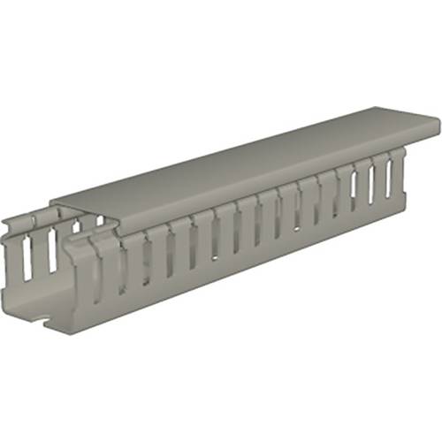 Weidmüller 2589590000 Verdrahtungskanal (L x B x H) 2 m x 37.5 mm x 37.5 mm 24 St. Grau