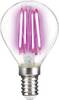 LightMe LM85313 LED EEK G (A - G) E14 Tropfenform 4 W Pink (Ø x L) 45 mm x 78 mm Filament 1 St.