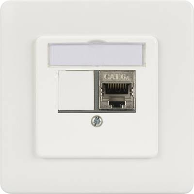 Netzwerkanschlussdose mit CAT 6A-Anschluss und Beschriftungsfeld an einer weißen Wand.