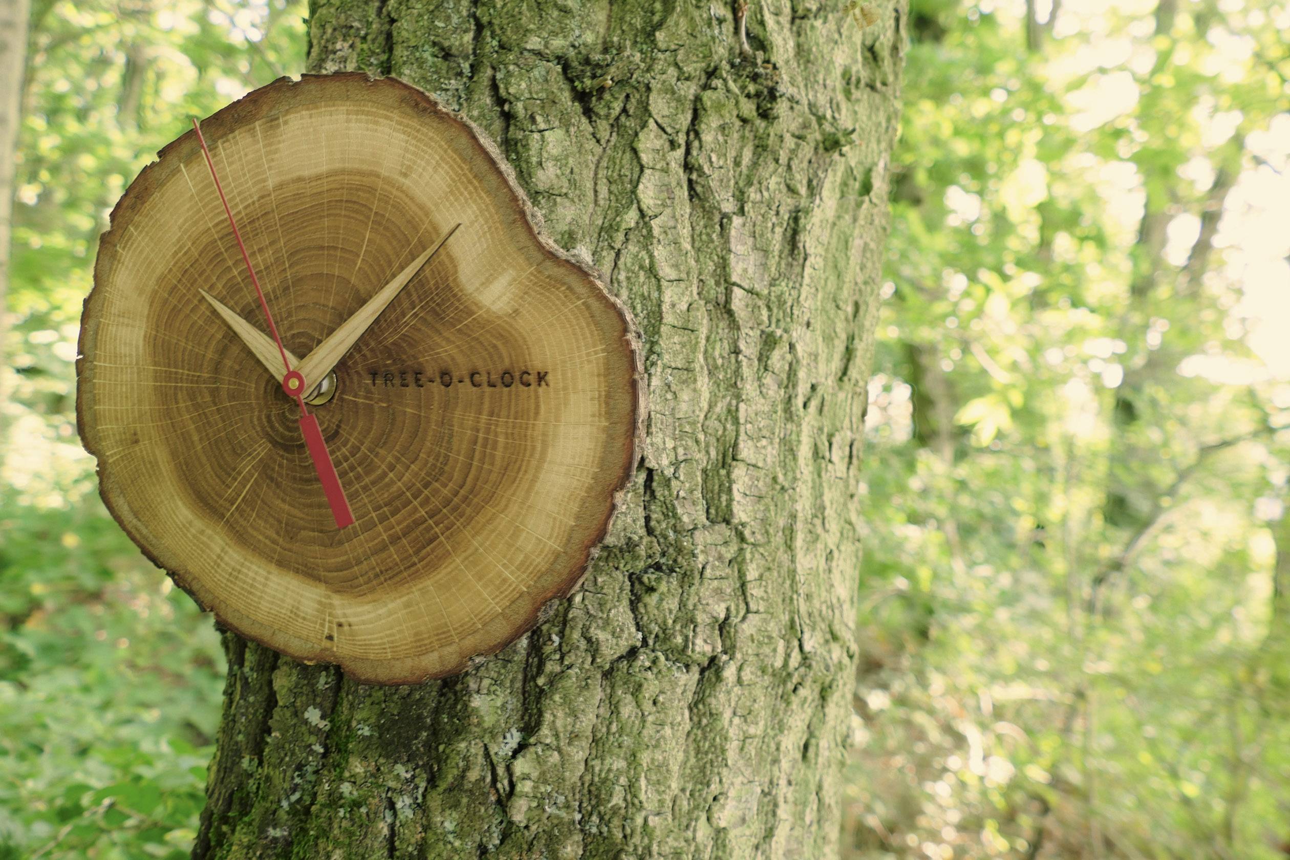 Holzuhr mit roten und gelben Zeigern, montiert an einem Baumstamm in einem grünen Wald. Beschriftung: 'Tree O'Clock'.
