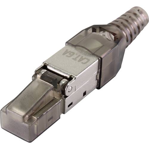 Renkforce Renkforce CAT6A Feldkonfektionsstecker RF-4538312 Stecker, gerade Polzahl Sensoren 8P8C Schwarz (transparent) ...