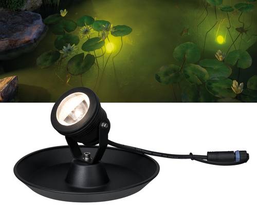 Accents lumineux dans le jardin : luminaire extérieur à utiliser dans l'étang