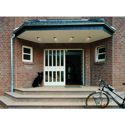 Eingangsbereich eines Hauses mit offenem Türrahmen, Hund sitzt links auf der Treppe, Fahrrad steht rechts.